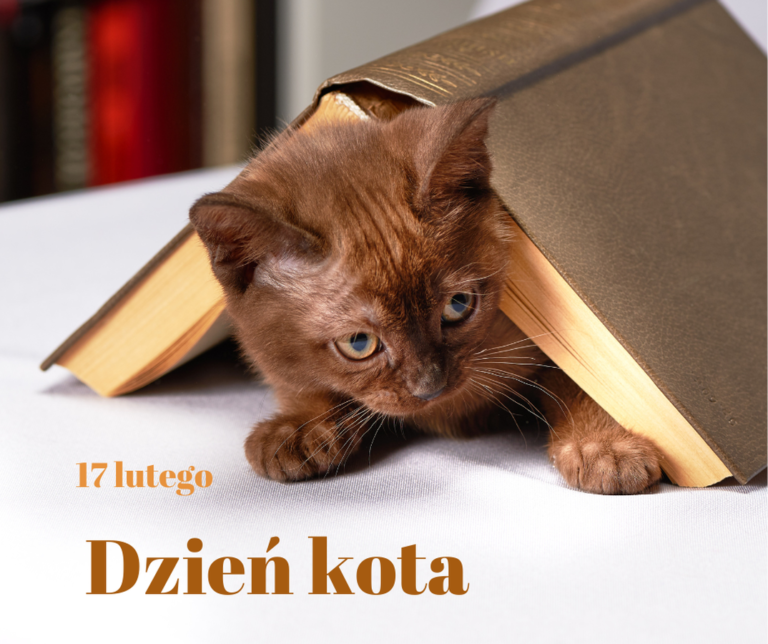 🐾📚 Światowy Dzień Kota w naszej bibliotece! 📚🐾